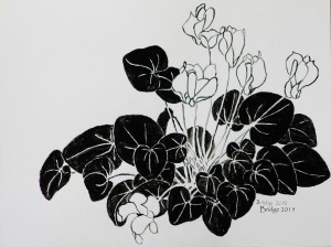 Cyclamen Plant, brush and ink drawing, based on pencil drawing, ArtHenning