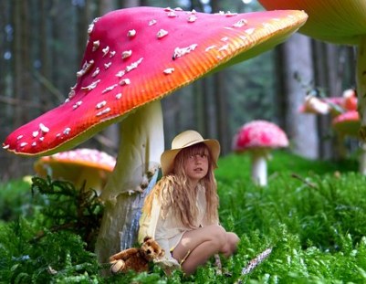 Pixabay photo, Girl under a Mushroom