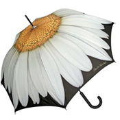 Daisy Design Umbrella